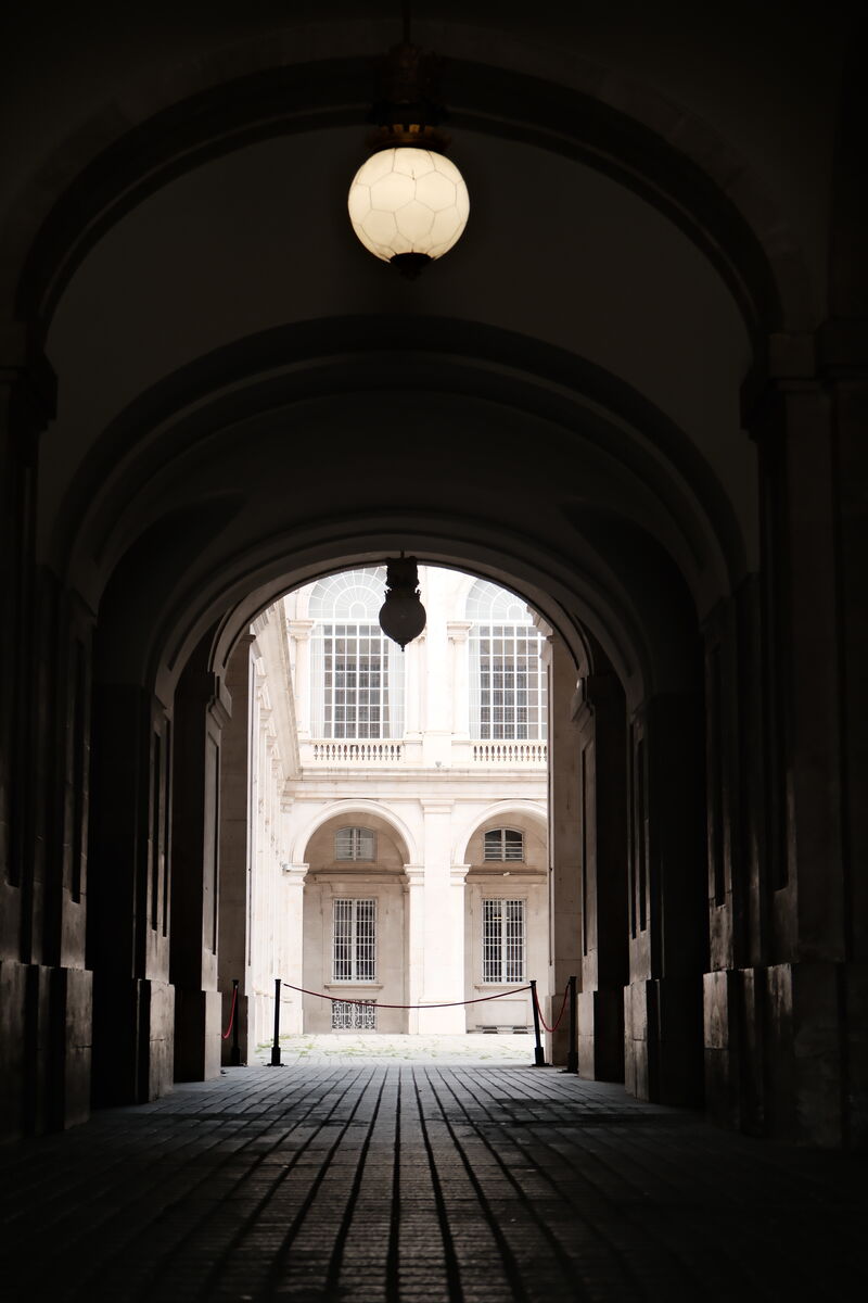 Eiffel Tower (daytime)