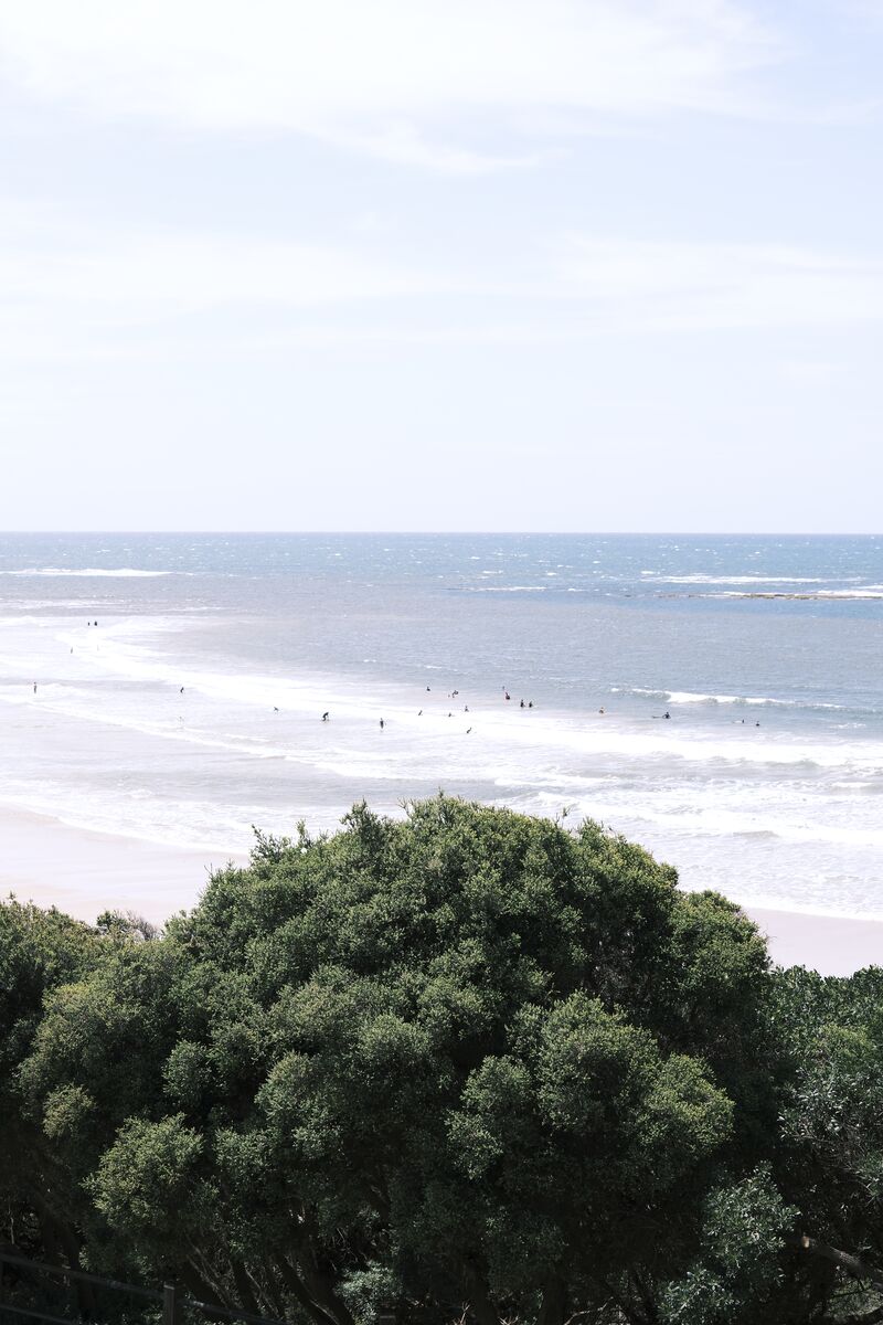 Eiffel Tower (daytime)